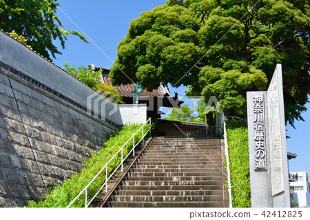 橫濱·Honka-ji 橫濱·Honka-ji 42412825