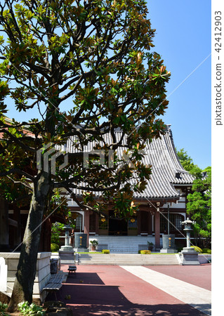 橫濱·Honka-ji 橫濱·Honka-ji 42412903