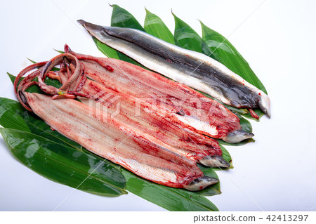 Opening eel 42413297