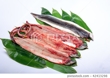 Opening eel 42413298