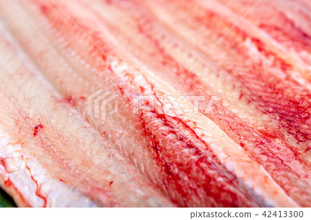 Opening eel 42413300