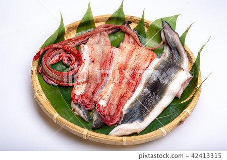 打開鰻魚 42413315