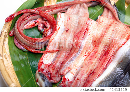 Opening eel 42413329