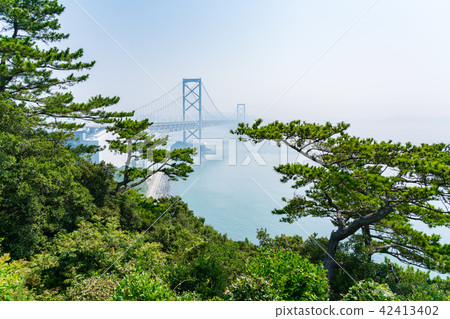 [德島縣] Onaruto橋 42413402