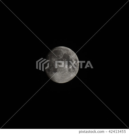 Month (age 12.0) 42413455