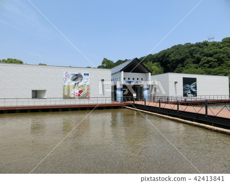 相模川fureai科學館 水族館sagamigara 神奈川縣相模原市 照片素材 圖片 圖庫