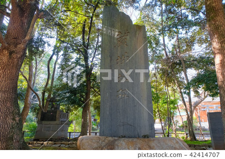 Castle Ruins Park Castle Ruins Monument 42414707