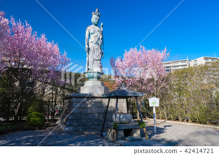 瓦拉比市山岳院和平觀音 42414721