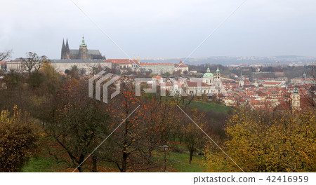 View of Prague Castle and St.Vitus cathedral  42416959