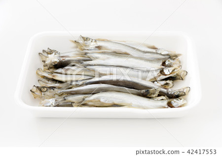 Calf starch and mushrooms (male) Calf starch and mushrooms (male) 42417553