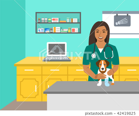 Veterinarian doctor holds dog on examination table Veterinarian doctor holds dog on examination table 42419825
