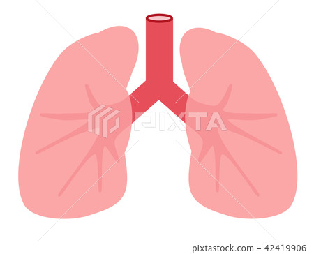 Lung Lung 42419906