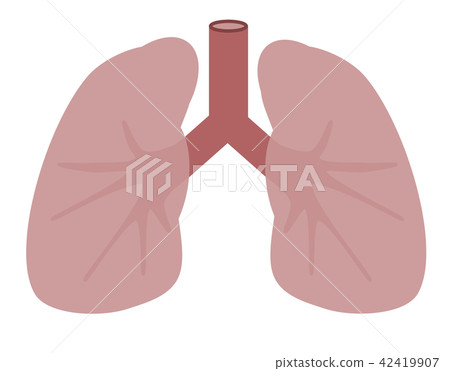 Lung Lung 42419907