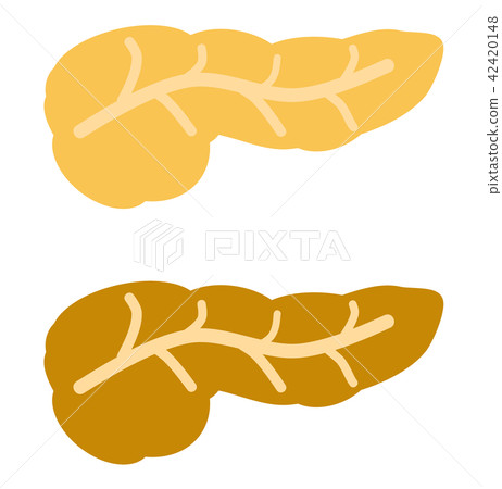 Pancreas 42420148