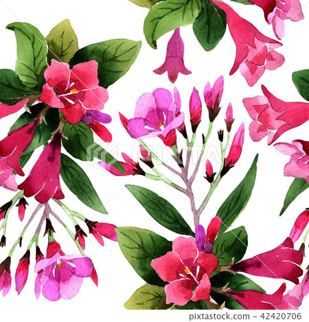 Watercolor pink weigela florida flowers. Floral botanical flower. Seamless background pattern. 42420706