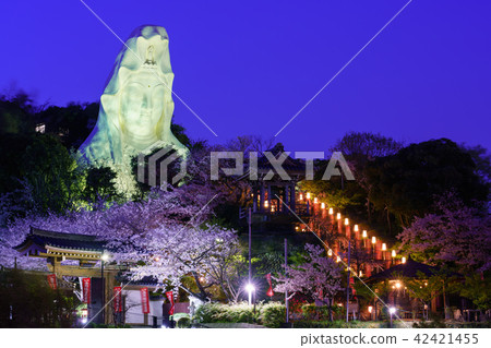 Kamakura Ofuna Kannon and cherry blossom illumination Kamakura Ofuna Kannon and cherry blossom illumination 42421455