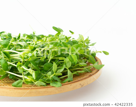 Bean seed vegetables 42422335