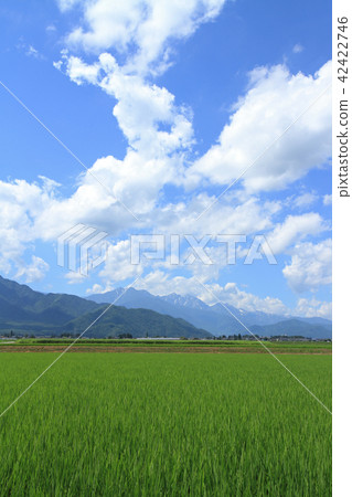 Northern Alps Foothills Dynamic summer clouds Northern Alps Foothills Dynamic summer clouds 42422746
