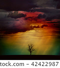 Bare dead tree in field in colorful night sky 42422987