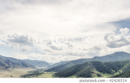 Summer colourful mountain landscape. Summer colourful mountain landscape. 42426514