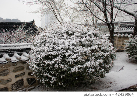 首爾，南山韓屋村 42429064