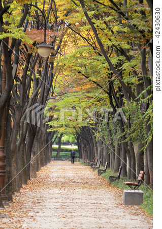 Incheon, Incheon Grand Park Incheon, Incheon Grand Park 42430630