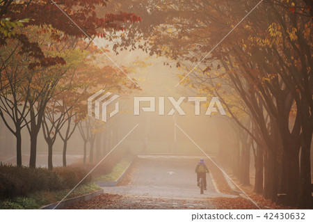 Incheon, Incheon Grand Park Incheon, Incheon Grand Park 42430632