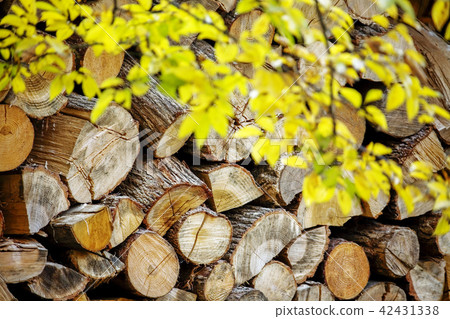 秋天，秋天 42431338