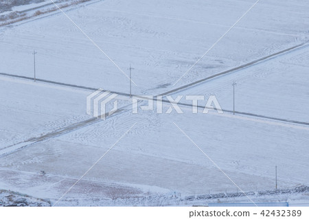 Incheon, Ganghwa-do, winter, field Incheon, Ganghwa-do, winter, field 42432389