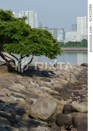 台場海灘公園 台場海灘公園 42432999