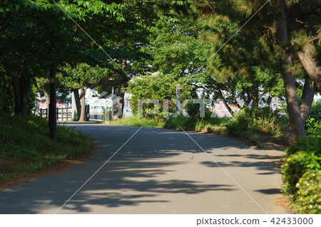 台場海灘公園 台場海灘公園 42433000