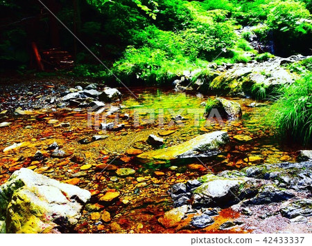 Okutama River Okutama River 42433337