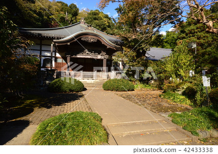 Musashi Kokubunji Tokyo Fall Musashi Kokubunji Tokyo Fall 42433338