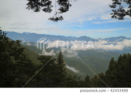 太平山國家森林遊樂區,雲海,山巷,台灣,宜蘭縣,大同鄉,樹木,藍天,白雲 太平山國家森林遊樂區,雲海,山巷,台灣,宜蘭縣,大同鄉,樹木,藍天,白雲 42433499
