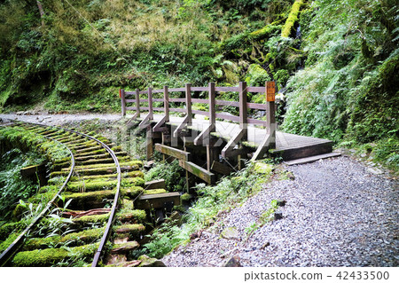 免強古步道、橋樑、鐵軌、台灣、宜蘭縣、大同鎮、森林、草原 免強古步道、橋樑、鐵軌、台灣、宜蘭縣、大同鎮、森林、草原 42433500