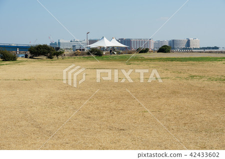 Kasai臨海公園 Kasai臨海公園 42433602