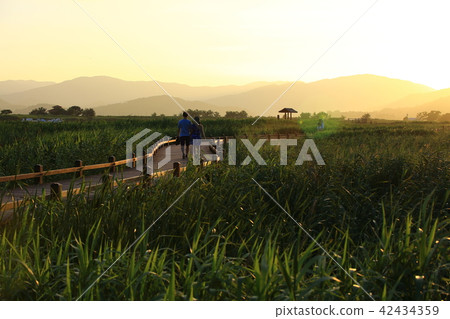 我想走的路! 我想走的路! 42434359