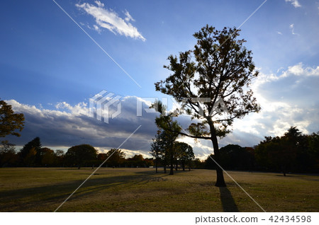 東急武藏國分寺公園秋葉國分寺 東急武藏國分寺公園秋葉國分寺 42434598