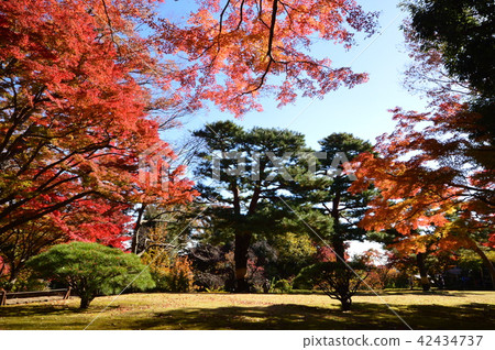 Aki Kokubunji位於Tarko Yanu花園 42434737