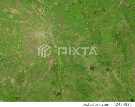 Aerial photograph at Grassland ~ Drone (Morning Neighborhood / Shizuoka Prefecture Fujinomiya City) 42434823