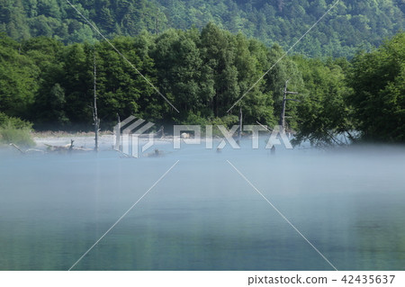 Kamikochi夏天視圖 42435637