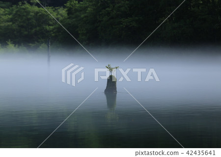 Kamikochi夏天視圖 42435641