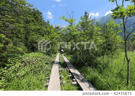 Kamikochi夏天視圖 42435671