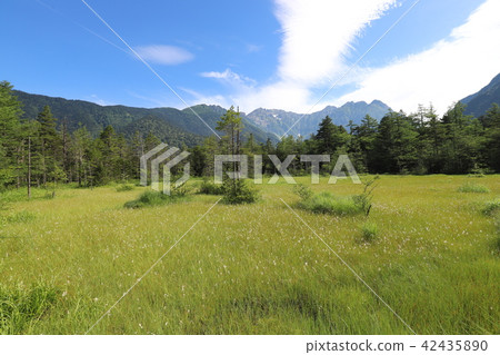 Summer view of Kamikochi Summer view of Kamikochi 42435890