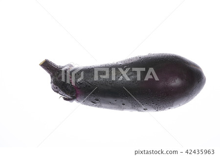 White back in a thousand two eggplants 42435963