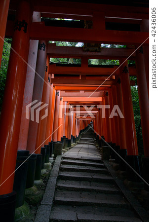 伏見Inari寺廟在夏天 42436006