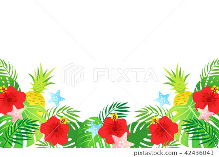 Summer Background 42436041