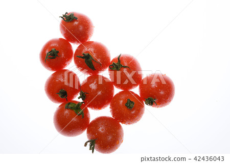 白背小西紅柿 42436043
