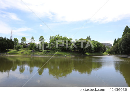 薩塔克公園 42436086