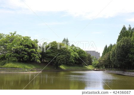 薩塔克公園 42436087